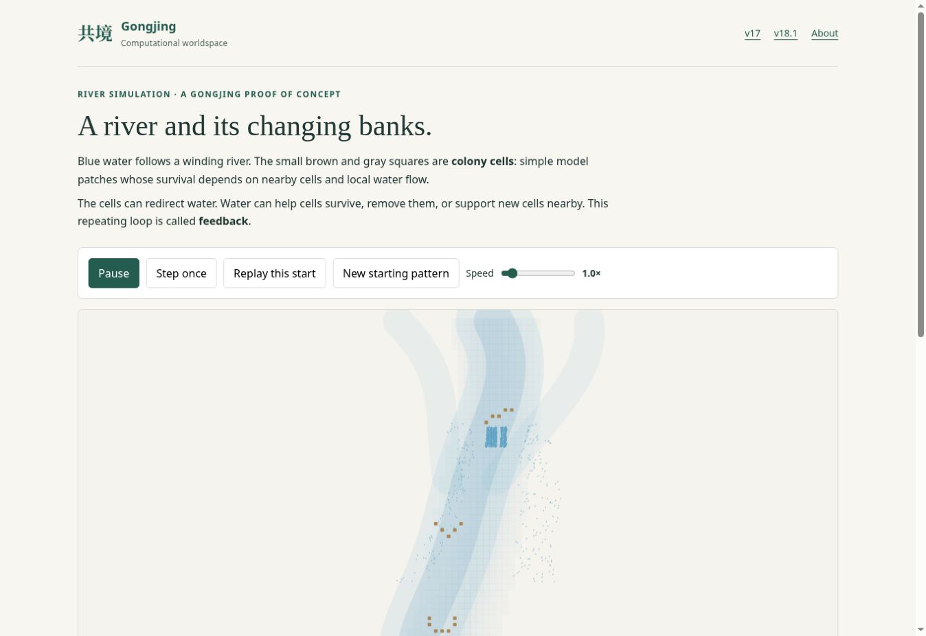 The river simulation showing water flowing through colony patches in one continuous scene.